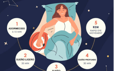 ¿Qué es una fase del sueño y por qué es tan importante para tu salud?